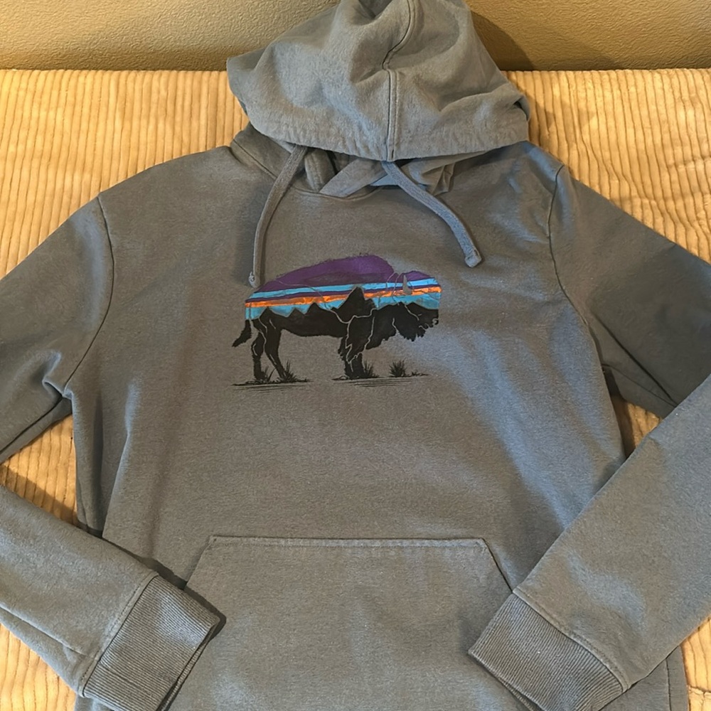 Patagonia men’s medium hooded sweatshirt